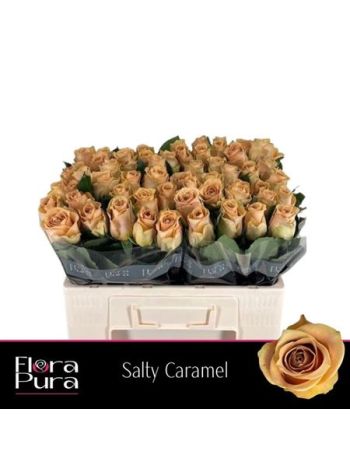 R GR5 SALTY CARAMEL!