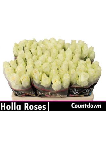 R GR5  F. COUNTDOWN!