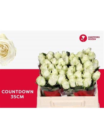 R GR4  P.GY. COUNTDOWN!