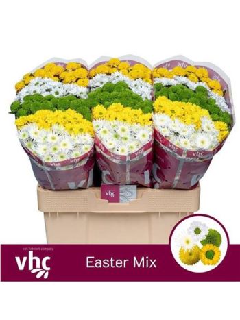 CHR SAN GEM - EASTER