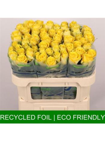 R GR GOOD TIMES 70CM