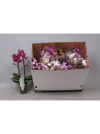 PHAL MF 2 ÁG GEM DOBOZOS