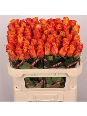 R GR CONFIDENTIAL 70CM