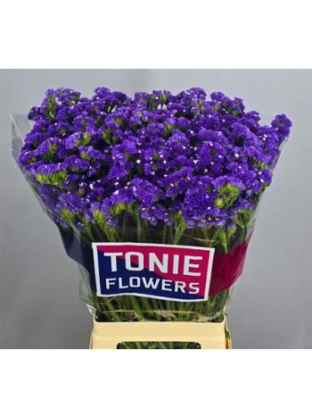 LIM S CRYST DARK BLU 70CM