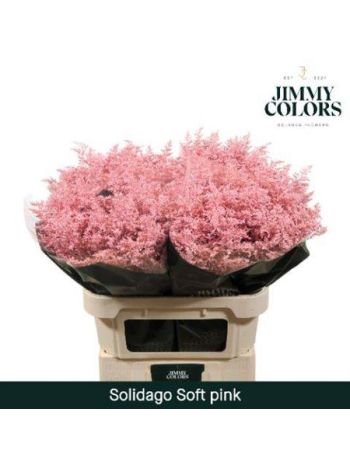 SOLI OV KLB H% - SOFT PINK