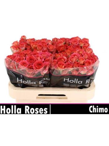 R TR CHIMO 60CM