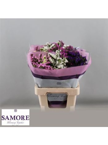 LIM S GEM 60CM