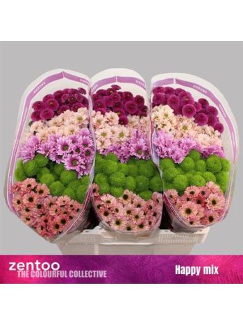 CHR SAN GEM - HAPPY