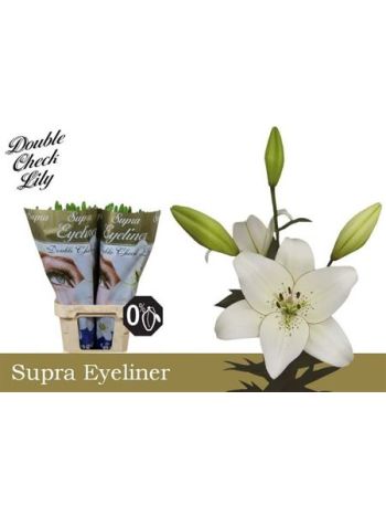 LI LA EYELINER SUPRA