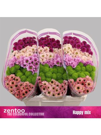 CHR SAN GEM - HAPPY