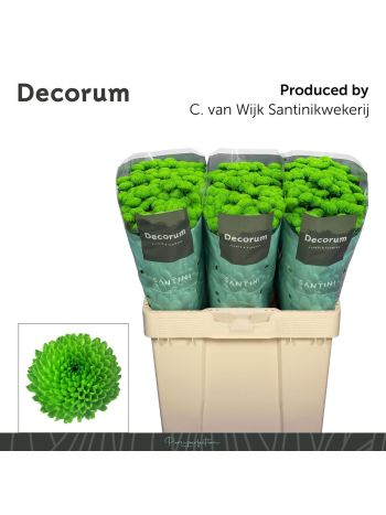 CHR SAN  COUNTRY