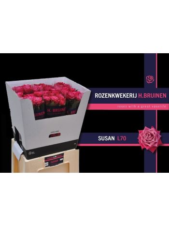 R GR SUSAN 70CM