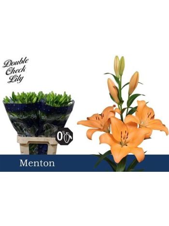 LI LA MENTON