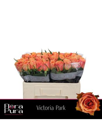 R GR5 VICTORIA PARK