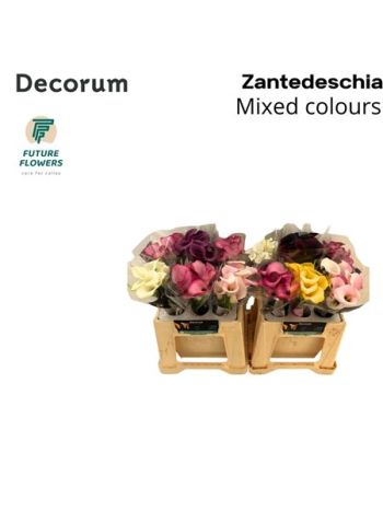 ZANT GEM IN FUST 40CM