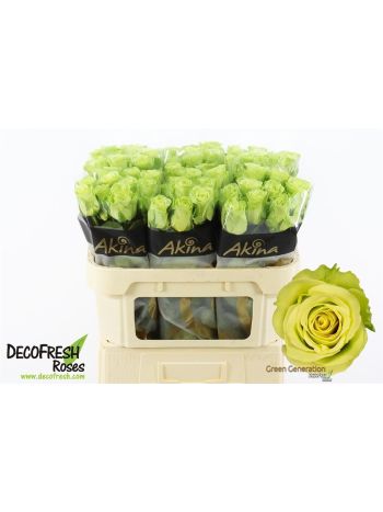 R GR GREEN GENERATIO 70CM