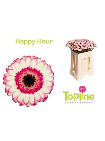GE MI HAPPY HOUR