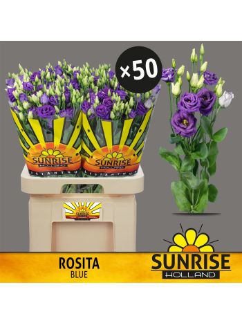 EUS G ROSI BLUE