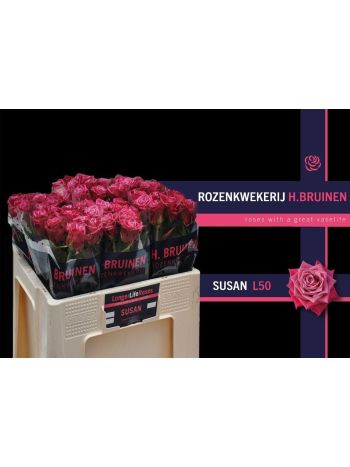 R GR5 SUSAN