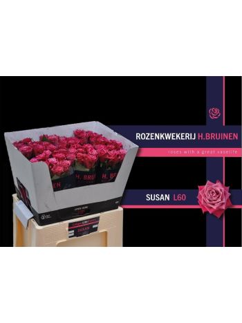 R GR SUSAN 60CM