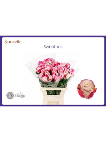 R GR5 SWEETNESSE