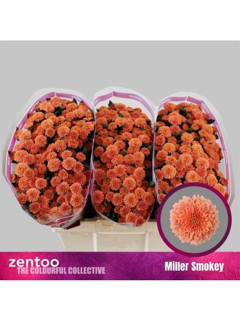 CHR SAN MILLER SMOKEY