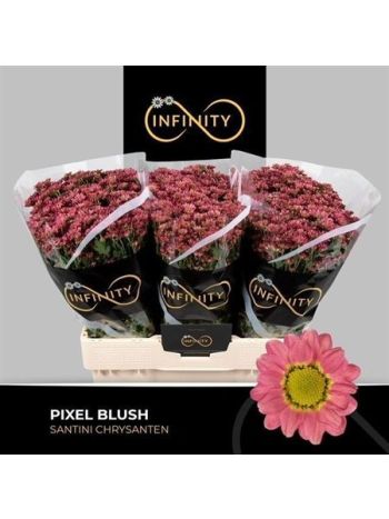 CHR SAN PIXEL BLUSH
