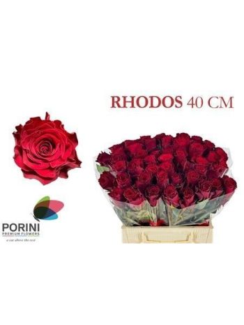 R GR4 RHODOS