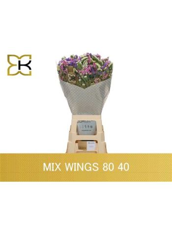 LIM S GEM 75CM