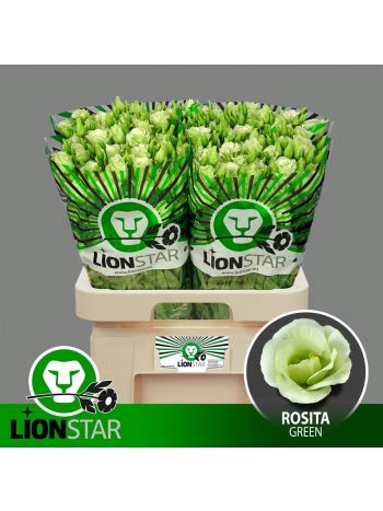 EUS G ROSI GREEN