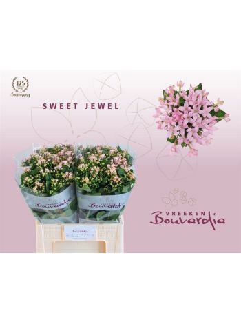 BOU EN SWEET JEWEL 60CM