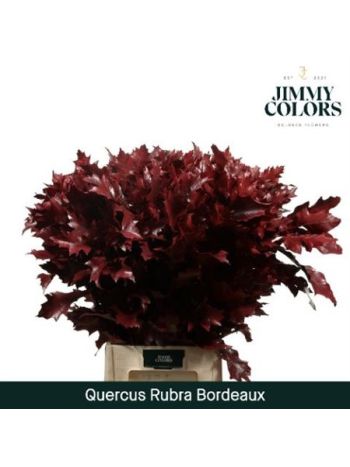QUERC RUB OV KLB H% - BORDEAUX