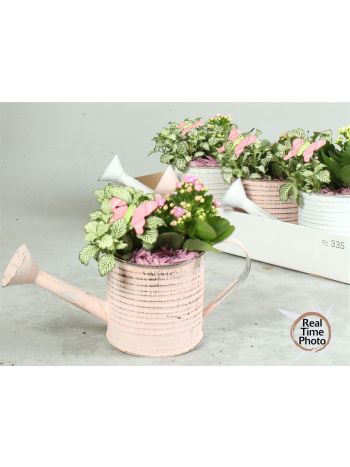 Ö. FITT KAL PINK ZINK KANNA
