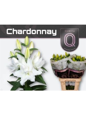 LI OR DU CHARDONNAY