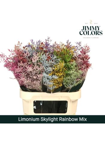 LIM OV KLB H% - RAINBOW MIX 70CM