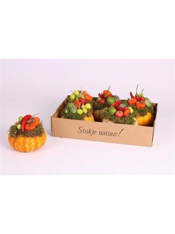 CUCURBITA EXTRA AKCIO