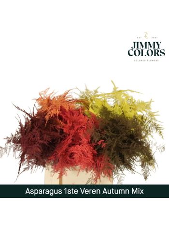 ASP OV KLB H% -  AUTUMN MIX
