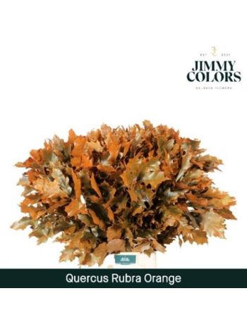 QUERC RUB OV KLB H% - ORANGE