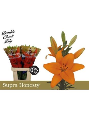 LI LA HONESTY