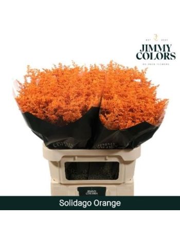 SOLI OV KLB H% - ORANGE