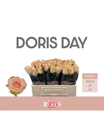R GR5 DORIS DAY