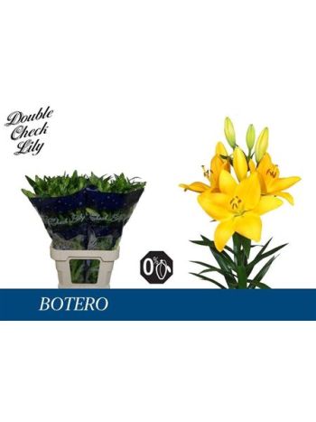 LI LA BOTERO