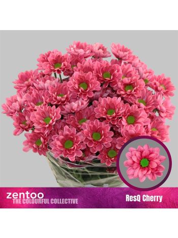 CHR T RESQ CHERRY