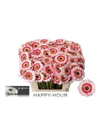 GE MI HAPPY HOUR