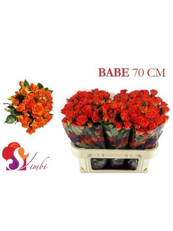 R TR BABE 70CM