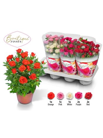 RO BOUTIQUE ROS GEM