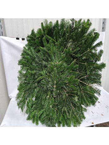 ZZ HU KOSZORÚ ÁLLÓ 60CM