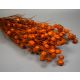 Nigella damascena 100g narancs