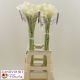 ZANT WHITE ART 80CM