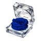 ZZ A TARTÓSRÓZSA JEWEL BLU03